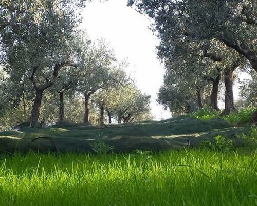 Angelucci Con E Agri Séjour à la ferme